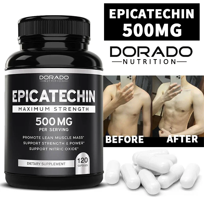 Epicatechin Extract Supplement - Pre Workout Supplement review and price